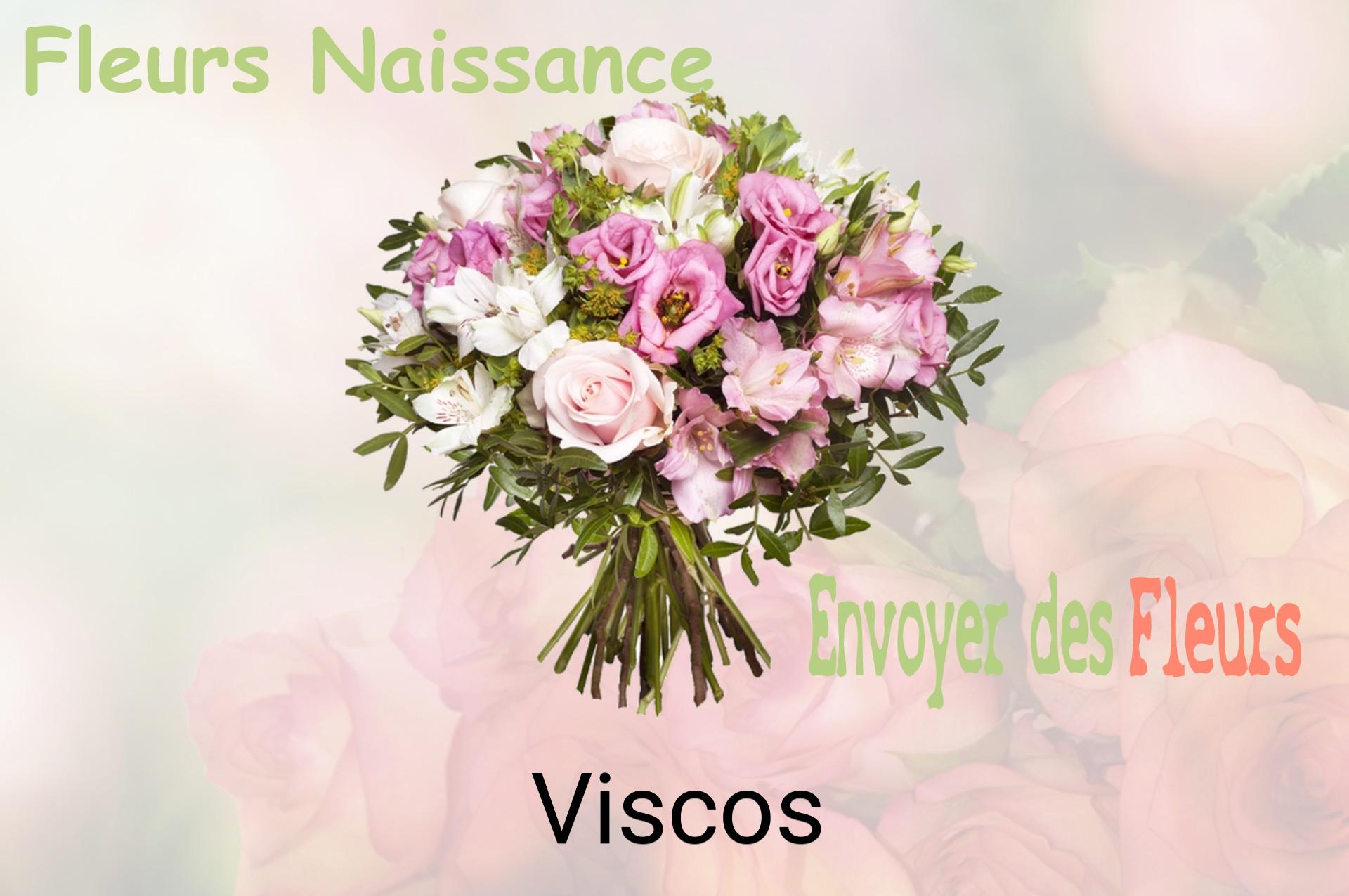 Bouquet de fleurs de naissance livré à Viscos